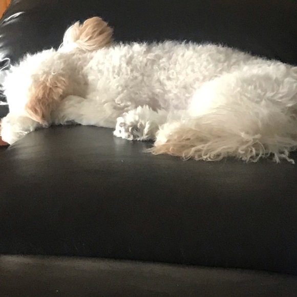 Meet your Posher, Melissa - Picture 1 of 1